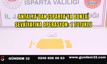 Antalya’dan Isparta’ya Bonzai Sevkiyatına Operasyon: 1 Tutuklu
