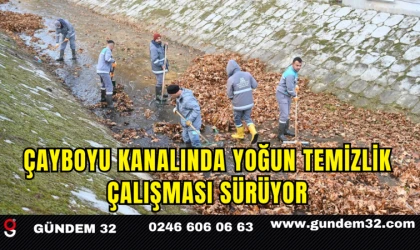 Çayboyu Kanalında Yoğun Temizlik Çalışması Sürüyor