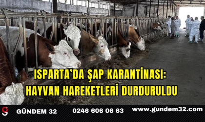 Isparta’da Şap Karantinası: Hayvan Hareketleri Durduruldu