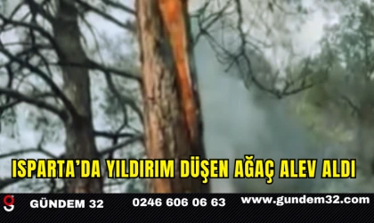 Isparta’da Yıldırım Düşen Ağaç Alev Aldı