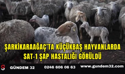 Şarkikaraağaç’ta Küçükbaş Hayvanlarda SAT-1 Şap Hastalığı Görüldü