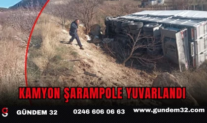 Kamyon şarampole yuvarlandı