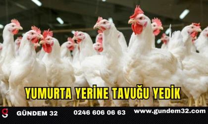 Yumurta yerine tavuğu yedik