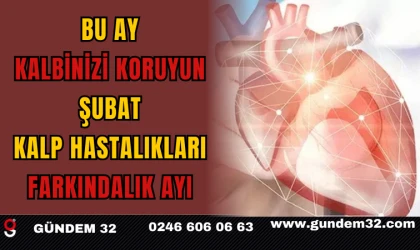 Bu Ay Kalbinizi Koruyun: Şubat, Kalp Hastalıkları Farkındalık Ayı