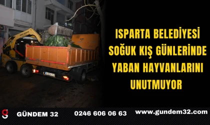 Isparta Belediyesi, Soğuk Kış Günlerinde Yaban Hayvanlarını Unutmuyor