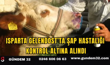 Isparta Gelendost’ta Şap Hastalığı Kontrol Altına Alındı