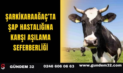 Şarkikaraağaç’ta Şap Hastalığına Karşı Aşılama Seferberliği