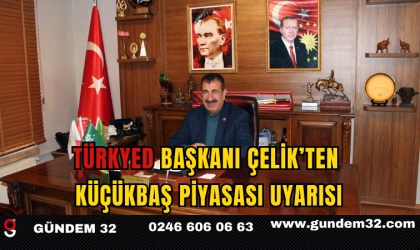 TÜRKYED Başkanı Çelik’ten Küçükbaş Piyasası Uyarısı