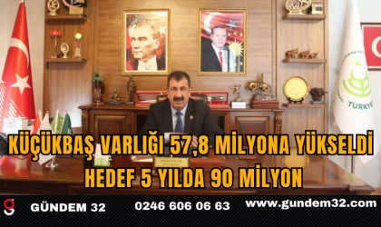 Küçükbaş Varlığı 57,8 Milyona Yükseldi: Hedef 5 Yılda 90 Milyon