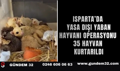 Isparta’da Yasa Dışı Yaban Hayvanı Operasyonu: 35 Hayvan Kurtarıldı
