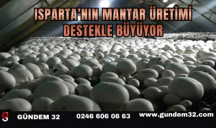 Isparta’nın Mantar Üretimi Destekle Büyüyor