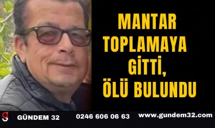 Mantar Toplamaya Gitti, Ölü Bulundu