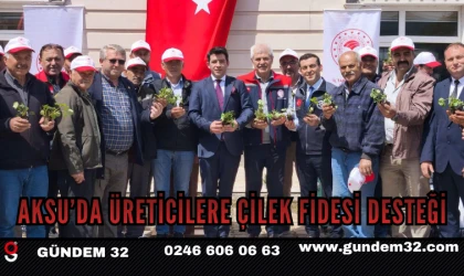 Aksu’da Üreticilere Çilek Fidesi Desteği