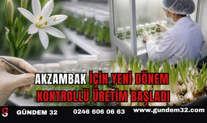 Akzambak İçin Yeni Dönem: Kontrollü Üretim Başladı