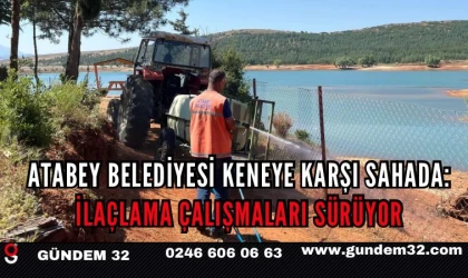 Atabey Belediyesi Keneye Karşı Sahada: İlaçlama Çalışmaları Sürüyor