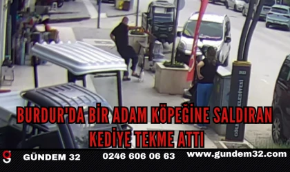 BURDUR'DA BİR ADAM KÖPEĞİNE SALDIRAN KEDİYE TEKME ATTI