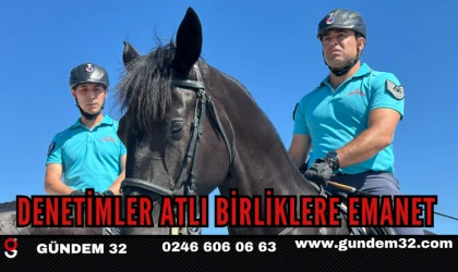 DENETİMLER ATLI BİRLİKLERE EMANET