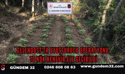 Gelendost'ta Uyuşturucu Operasyonu: 70 Kök Kenevir Ele Geçirildi