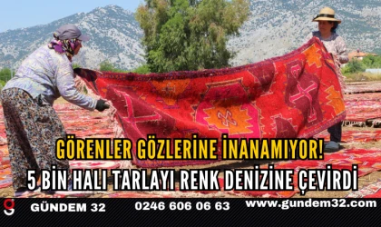 GÖRENLER GÖZLERİNE İNANAMIYOR! 5 BİN HALI TARLAYI RENK DENİZİNE ÇEVİRDİ
