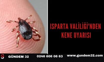 Isparta Valiliği'nden Kene Uyarısı
