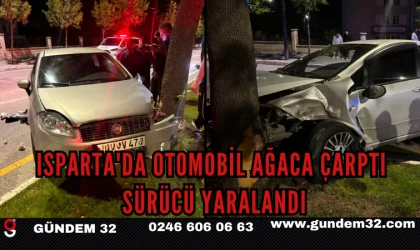 Isparta'da Otomobil Ağaca Çarptı: Sürücü Yaralandı