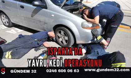 ISPARTA'DA YAVRU KEDİ OPERASYONU