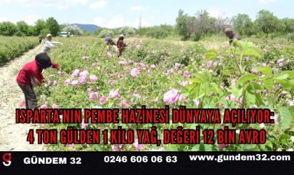 Isparta’nın Pembe Hazinesi Dünyaya Açılıyor: 4 Ton Gülden 1 Kilo Yağ, Değeri 12 Bin Avro