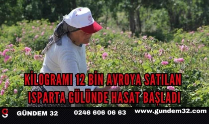 Kilogramı 12 bin avroya satılan Isparta gülünde hasat başladı