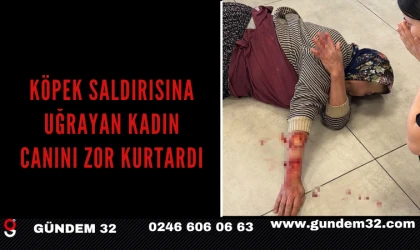 KÖPEK SALDIRISINA UĞRAYAN KADIN CANINI ZOR KURTARDI