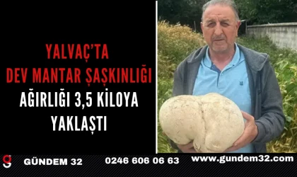 Yalvaç’ta Dev Mantar Şaşkınlığı: Ağırlığı 3,5 Kiloya Yaklaştı