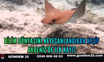 Bilim Dünyasını Heyecanlandıran Keşif: Akdeniz'de İlk Kayıt