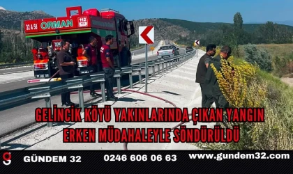 Gelincik Köyü Yakınlarında Çıkan Yangın Erken Müdahaleyle Söndürüldü