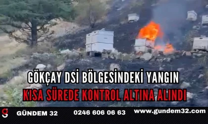 Gökçay DSİ Bölgesindeki Yangın