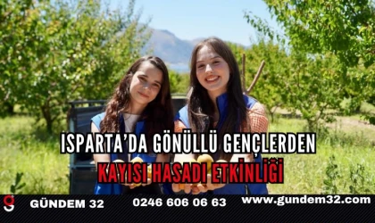 Isparta’da Gönüllü Gençlerden Kayısı Hasadı Etkinliği