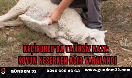 Keçiborlu’da Koyun Keserken Bıçağın Üzerine Düştü: Ağır Yaralandı