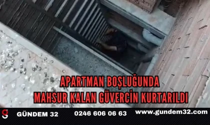 Apartman Boşluğunda Mahsur Kalan Güvercin Kurtarıldı