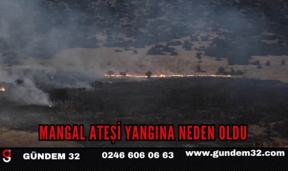 Mangal Ateşi Yangına Neden Oldu