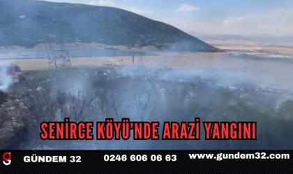 Senirce Köyü’nde Arazi Yangını