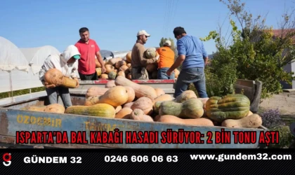 Isparta’da Bal Kabağı Hasadı Sürüyor: 2 Bin Tonu Aştı