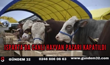 Isparta’da Canlı Hayvan Pazarı Şap Hastalığı Nedeniyle Kapatıldı