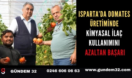Isparta’da domates üretiminde kimyasal ilaç kullanımını azaltan başarı